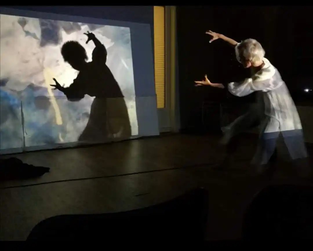 Deborah Muriel Blum in The Bridge of Mostar, shadow theatre with colour projections